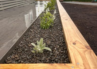 Landscaping Key Consideration Mantainance